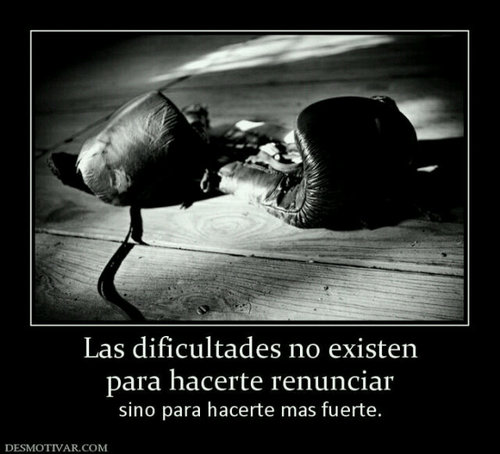 mandresbv's profile picture. 