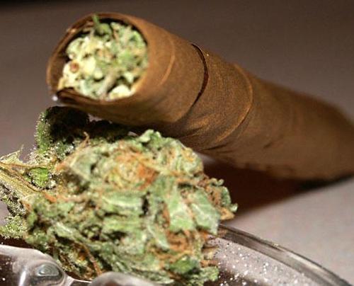 LIL_EAZER420's profile picture. 