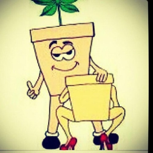 Everyone's Favorite Pothead