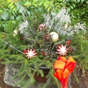 maureen longley - @maureen4301 - Twitter