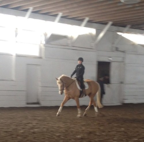 Eventerissues1's profile picture. @Alexvictoriarrr is my favourite person ever. Shes a babe and a half.