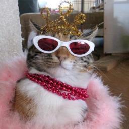 IreneNaya1's profile picture. 