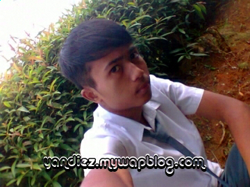 yandi_tea's profile picture. jika kita tidak memiliki apa yg kita sukai
kita mesti menyukai apa yg kita miliki