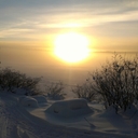 Mike Delany - @Cabins101 - Twitter