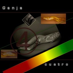 GANJA Reggae Mexicano desde 1995 mezcla diferentes estilos musicales que van desde rock, salsa, cumbia, son, merengue, jazz, blues con  el REGGAE.
