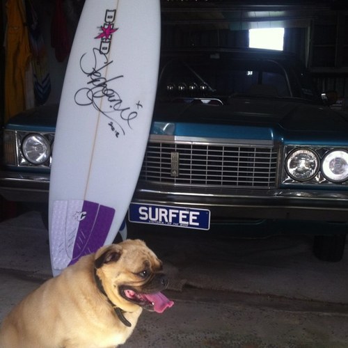 lukeyashworth's profile picture. just a silly concreter who loves cars and surfing