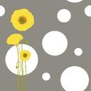 Dena Shipley - @SoYellowPoppy - Twitter