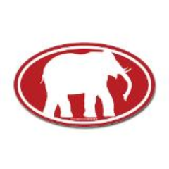 pavbama's profile picture. Roll Tide Roll...life is short enjoy it