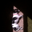 Ryan Redick - @iamthewhitey - Twitter