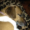 James Hillard - @MrSkippy0515 - Twitter