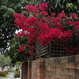 zaidahzmz's profile picture. 