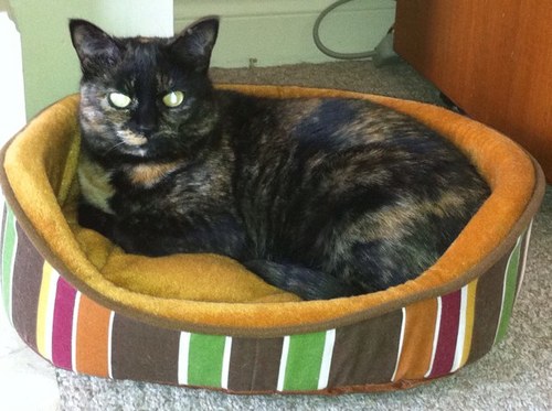 kjburtch's profile picture. 