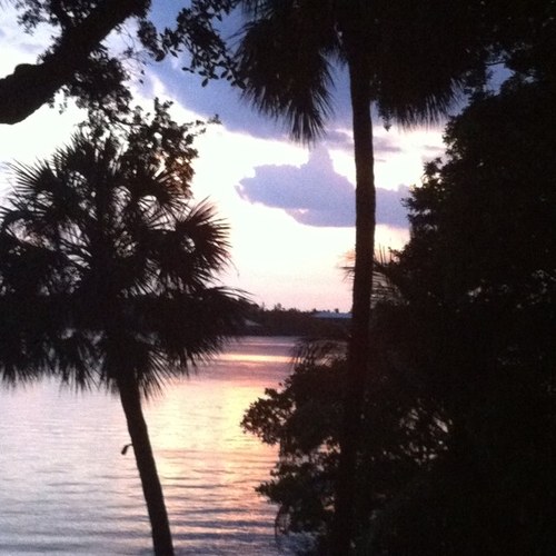 Stonebug23's profile picture. Wife, Mother, Grandmother, Sister, Daughter, Friend - Saved by GRACE