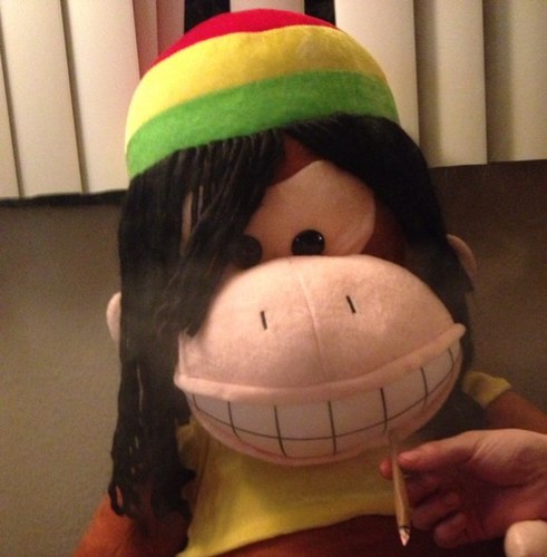 Im BEN The Stoner Monkey | I Just Stay Home And Get Stoned | FOLLOW ME STONERS