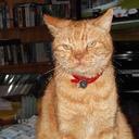 Alison Markham - @markham_alison - Twitter