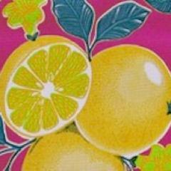 Elizabeth Mars - writer, teacher, vegetarian food blogger, Tweets mainly about food but sometimes about politics.