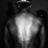 SamNava95's profile image