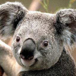 Criptex15's profile picture. 