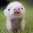 AlxBruz's profile image