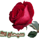 samy (@01003089502) Twitter