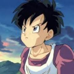 Hey! Son Videl here! My purpose is to bring justice to the world, AND keep Gohan in line! *Laughs* My best friend~ @TrueSora //RP//