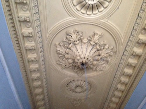 plasterwork.ie Profile