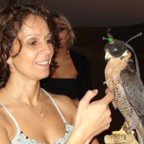 Mickeyboots31's profile picture. 