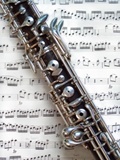 switched to oboe four years ago. Band is my life. im also a drum major.