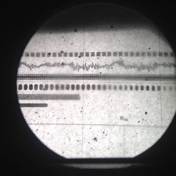 ExraysMusic's profile picture. 