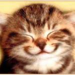 GPeignaux's profile picture. 