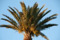 FewoSpanien's profile picture. tweetmarketing@ymail.com