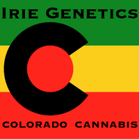 Irie Genetics(@IrieGenetics) 's Twitter Profile Photo