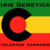 Irie Genetics (@IrieGenetics) Twitter profile photo