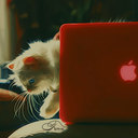 abrar (@2323_roro) Twitter