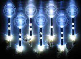 인피니트 팬임