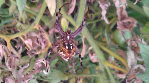 wware6's profile picture. Papa, Husband, Son, Brother, & Philosopher.