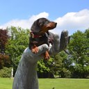 Karin Matthys - @KarinMatthys - Twitter