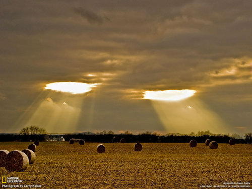 Slimrock's profile picture. 