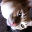 Simon Stevenson - @simonstevenson - Twitter