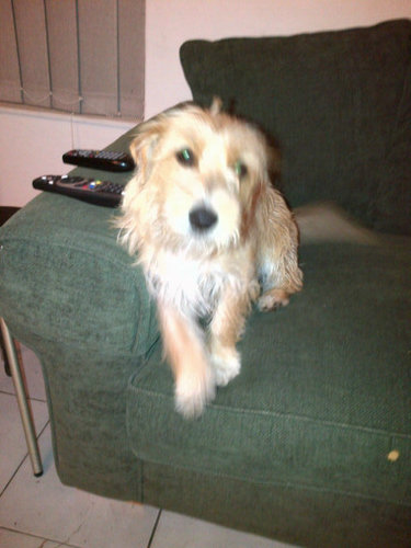 Blommie554's profile picture. Sport Nut