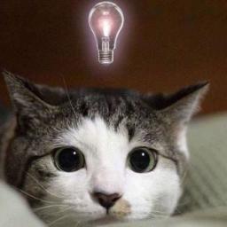 ハイクオリティーな雑学を探究中！意外に尊敬されますwww さぁ雑学を広めましょう♪「へぇ～」と思ったらRTしてニャン！気軽にフォローミー☆