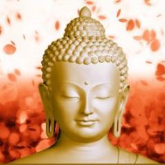 ZOBRA THE BUDDHA,Living a life without regret & with great passion also to live tz life 2 the fullest .😍