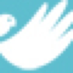 WotITreated2day's profile picture. Full time small animal vet, providing information and advice via my website. Contact me with your animal related queries!