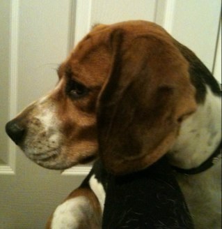 stevekench70's profile picture. 