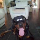 francisco schwarz - @fran_schwarz - Twitter