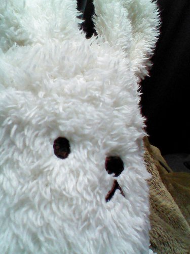 twix4everyone's profile picture. 