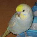 Inge Liem - @Mutti44 - Twitter