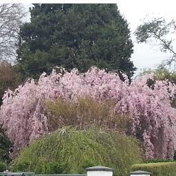 jgmason21's profile picture. Enjoys life, sports, family, work making friends and keeping them and the list goes on