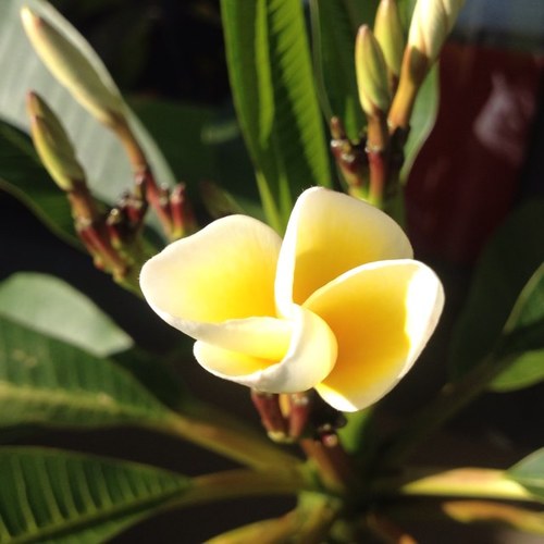 adambarryknight's profile picture. average joe