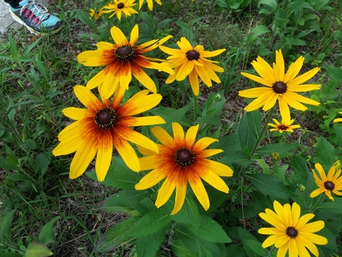 koreatwtforum's profile picture. 아름다운 언어와 정직한 의사소통으로 건강한 트위터 문화를 정착시켜 트위터가 사회의 변화, 발전에 긍정적 역할을 했으면 합니다./트위터 문화현상 연구/건전한 트위터 문화 확산/사이버폭력 예방